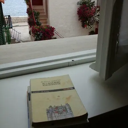 Apartmán Alba Sul Mare *
